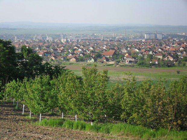 Напредњаци против својих 